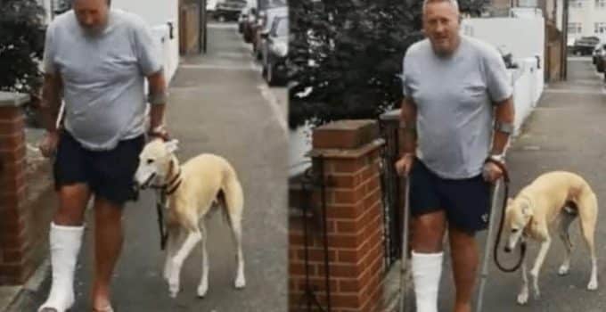 Man geeft ruim US$ 400 uit aan behandeling mank-lopende hond en komt erachter dat het beest hem alleen maar imiteerde (video)