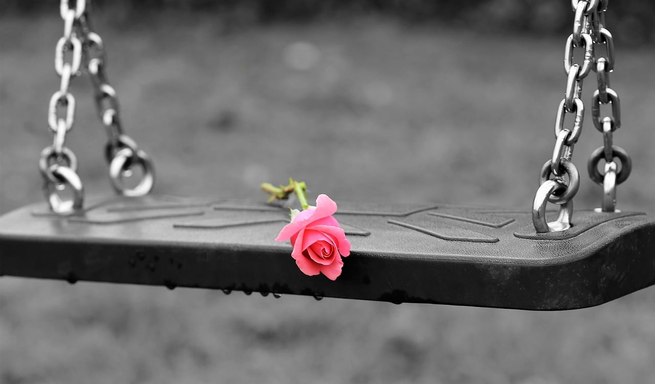 pink rose on empty swing 3656894 1280