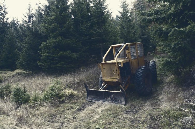 Lancering Climate Smart Forestry-project maakt het mogelijk dat Suriname duurzaam kredieten kan genereren uit haar bos