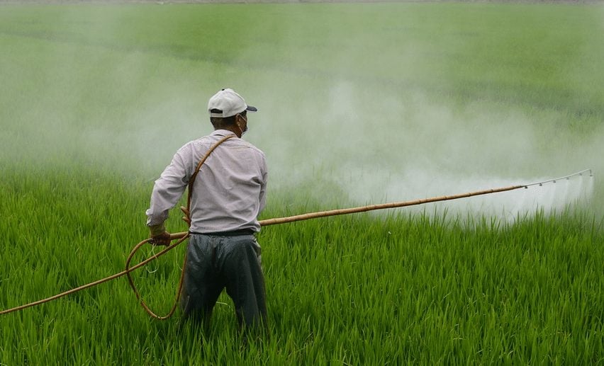 pesticide