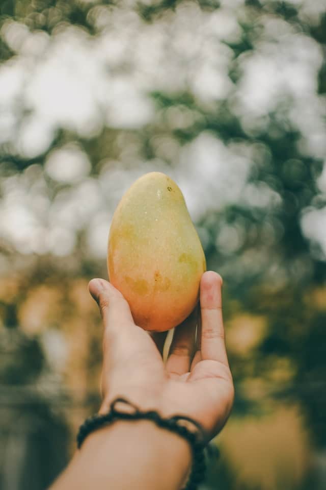 Zussen brengen buurmeisje om het leven na ruzie om mango’s