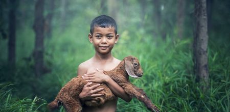 bos natuur milieu klimaat dierenbescherming