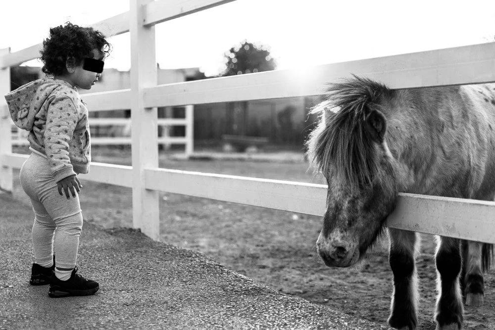 Steunbetuigingen stromen binnen nadat peutertje overlijdt na val van haar pony