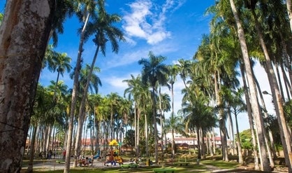 Samen naar een groen en leefbaar Paramaribo