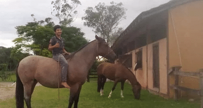 Paardenliefhebber Marcos (12) overlijdt op vreselijke wijze door trap van paard