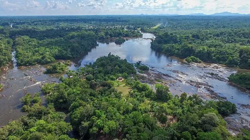 CIS en DNA gaan samenwerken om natuur van Suriname te beschermen