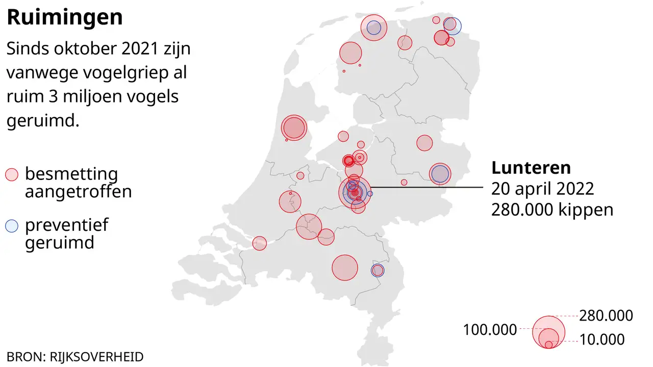 Nederland heeft al 2,3 miljoen kippen opgeruimd vanwege uitbraak vogelgriepvirus