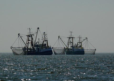 Visserijsector Suriname verwacht dat president territoriale wateren beschermt tegen Guyanese piraten