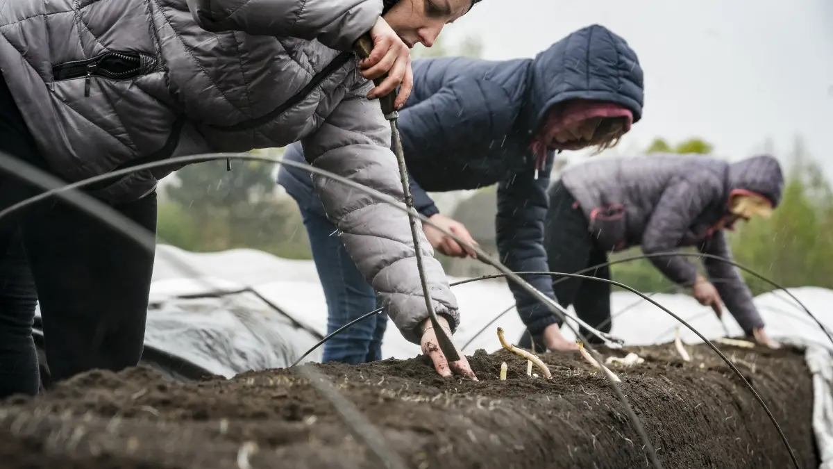 Ruim 4300 Oekraïense vluchtelingen in Nederland werken al