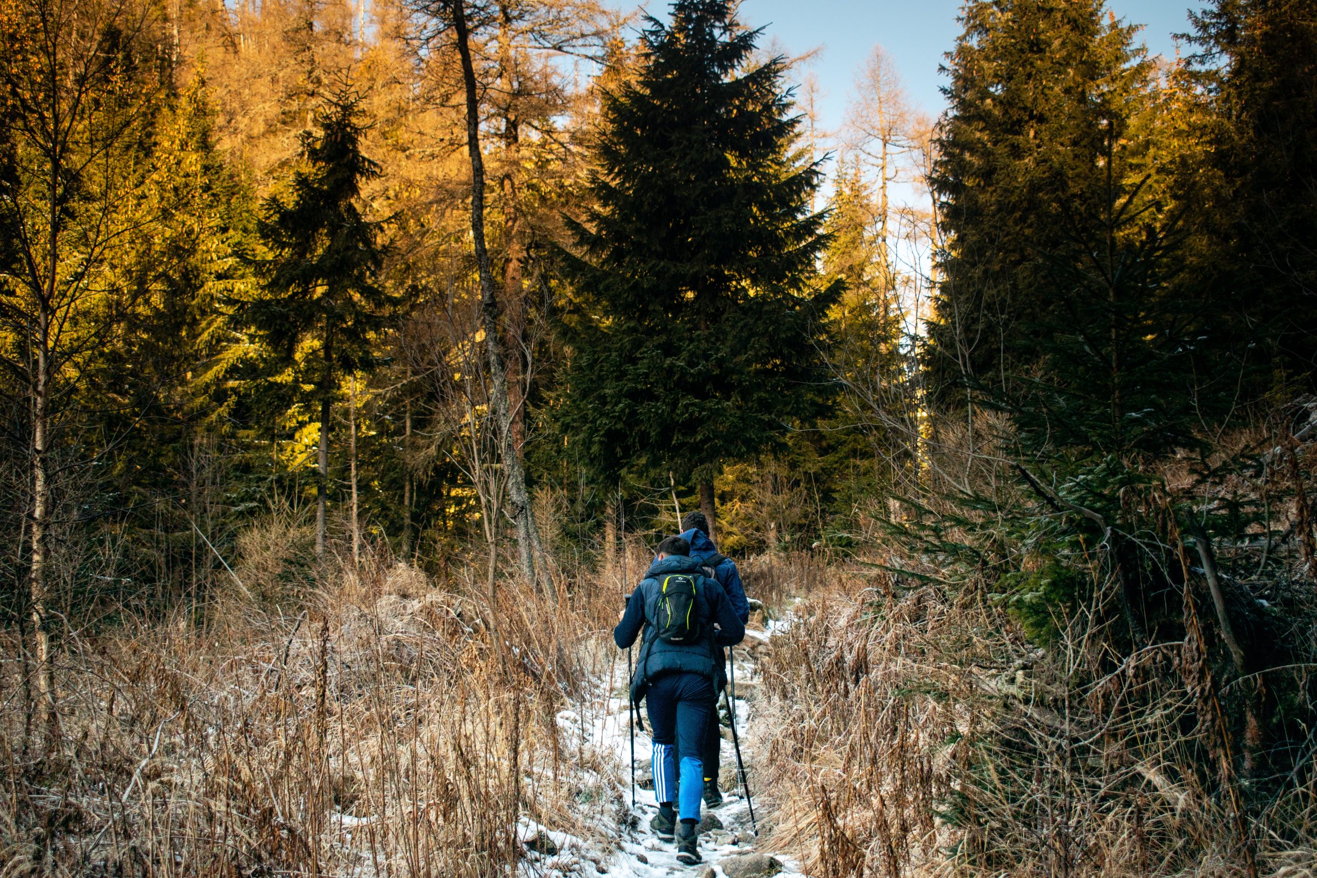 Oude man die met zijn hond het bos in ging dood gevonden