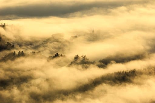 Nederlands Meteorologisch Instituut waarschuwt voor dichte mist