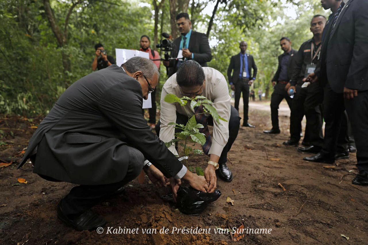 Regionale leiders planten bomen ter herdenking oprichting Caricom