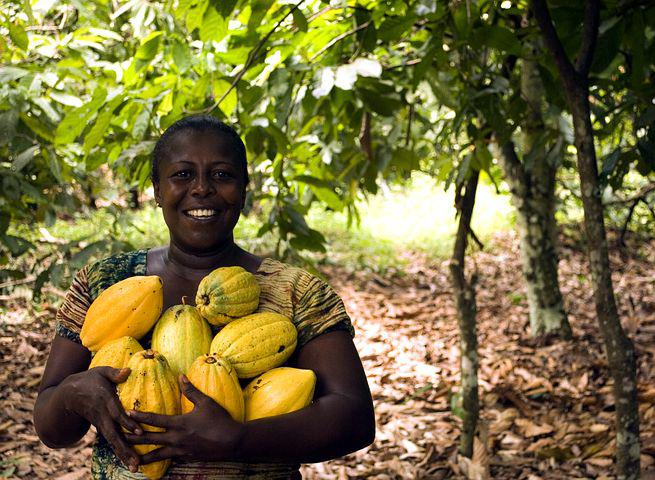 Luiheid en onkunde Surinamers oorzaak peperduur buitenlands fruit in onze winkels