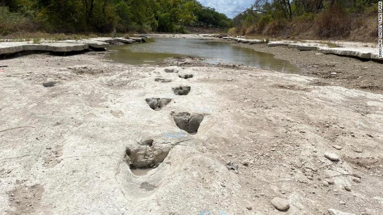 Dinosaurussporen van 113 miljoen jaar geleden blootgelegd als gevolg van ernstige droogte in Dinosaur Valley State Park