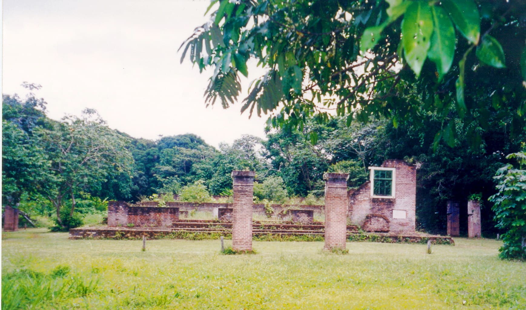 Historische Jodensavanne in Suriname toegevoegd aan UNESCO Werelderfgoedlijst