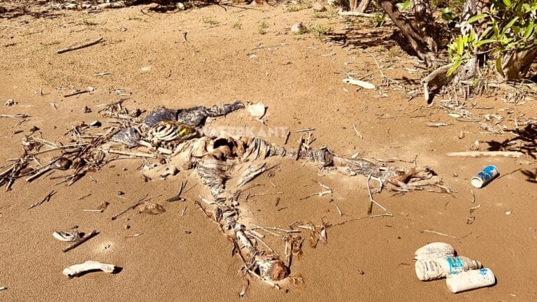 Familie beweert dat in Guyana aangetroffen skelet van vermiste Surinaamse visser is