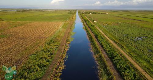 rijstveld water rivier zwamp nicerie waterschap