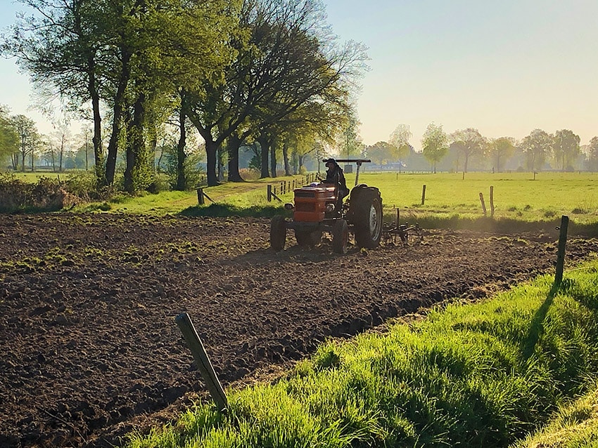 agrobosbouw landbouw planten agrarische sector