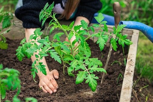 Maak je tuin klaar voor de zomer met deze 5 handige tips