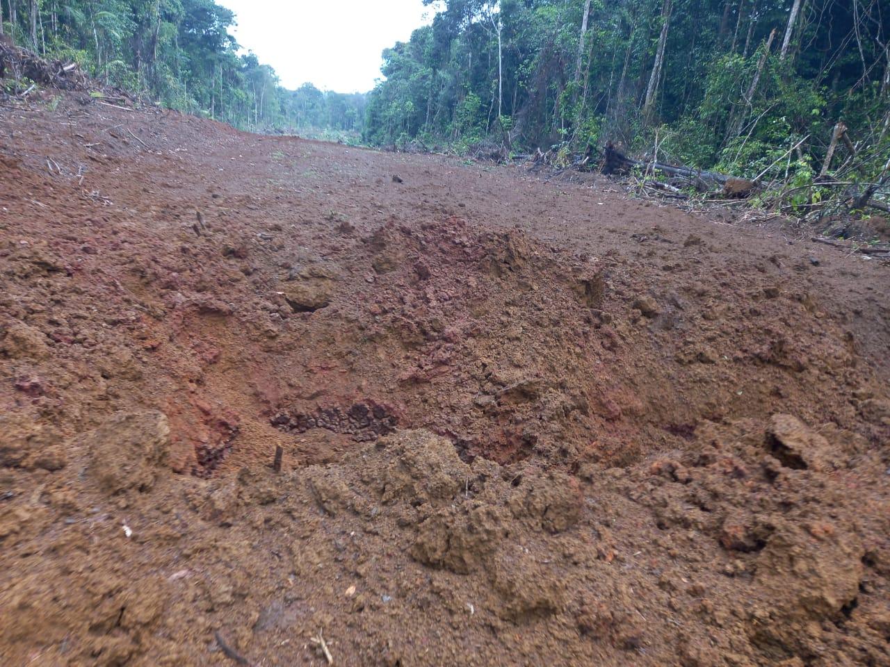 Illegale landingsbaan en vliegtuig onklaar gemaakt