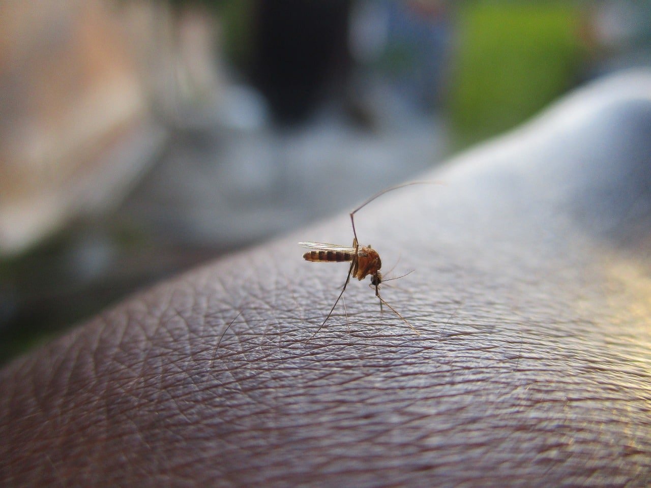 Volksgezondheid distantieert zich van dengue flyer op social media