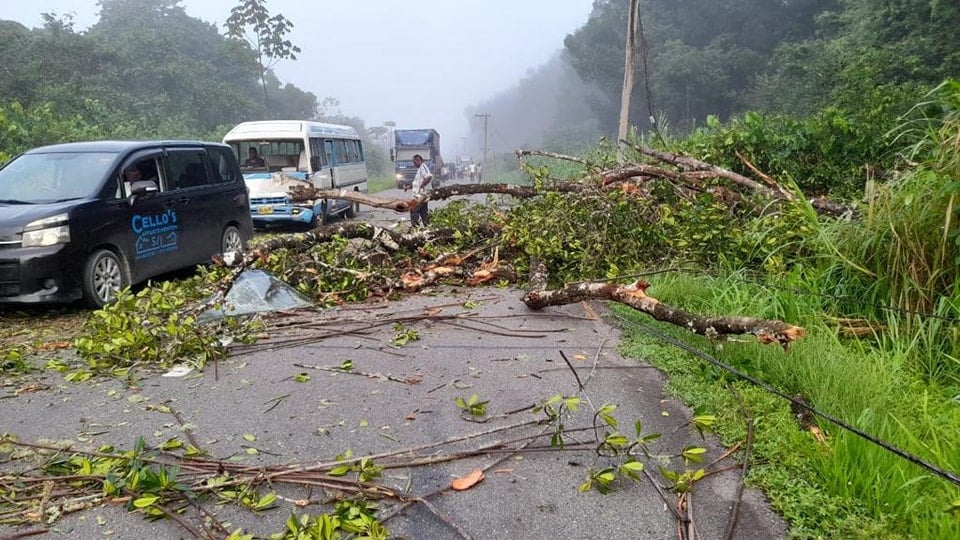 Boom omgevallen op de Oost-West verbinding, schoolbus beschadigd en EBS-mast omgevallen