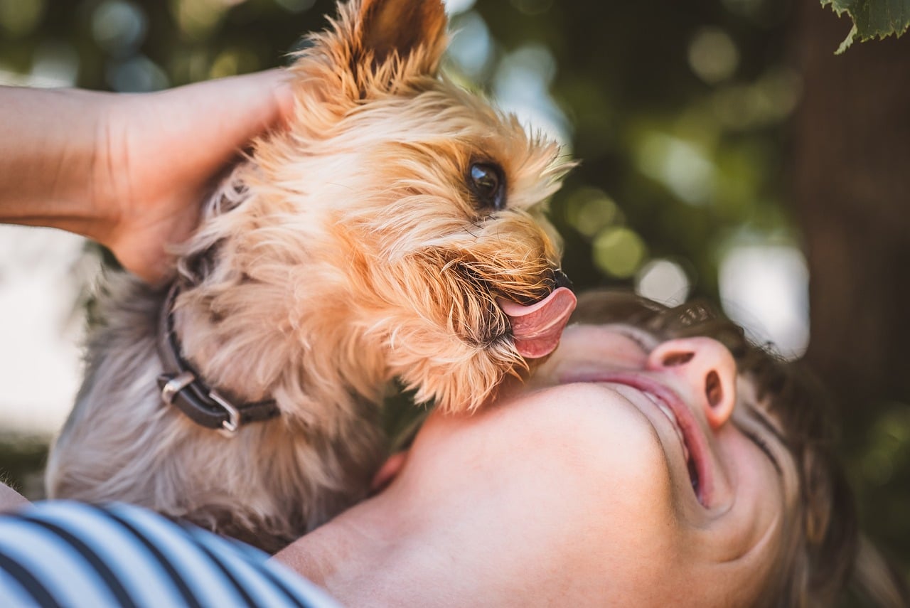 Ouders die honden aan hun kleine kinderen laten snuffelen en likken zijn fout bezig