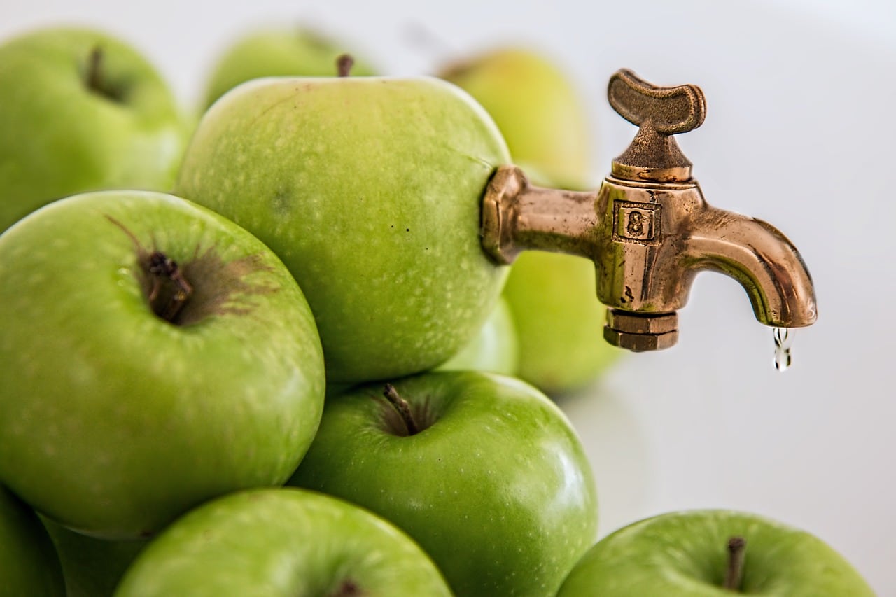 Surinaamse regering praat over ontwikkeling maar kan niet eens water uit de kraan garanderen