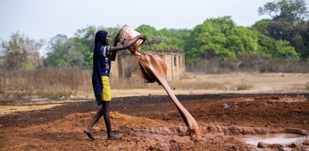 werker arbeider landbouw productie agrarisch