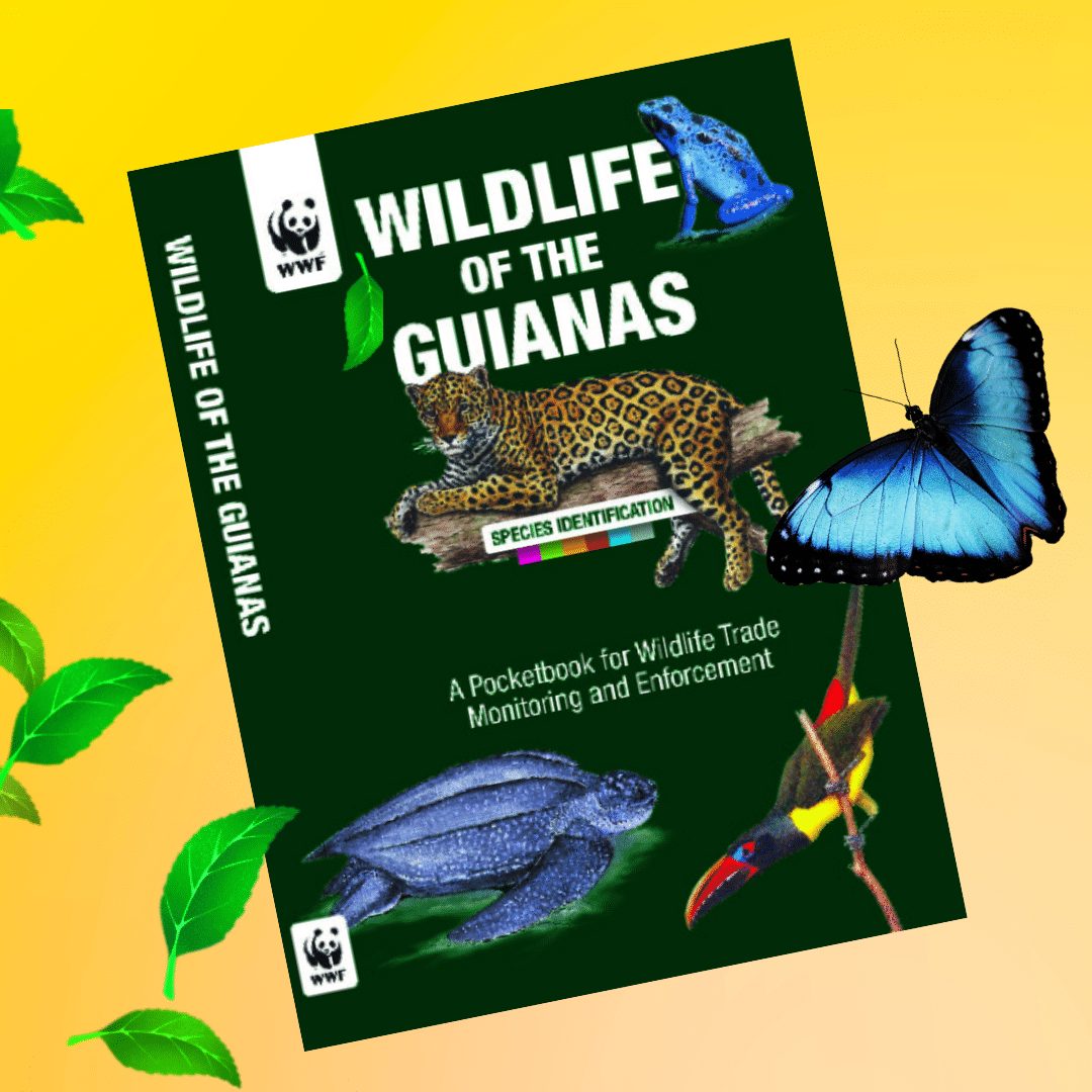 Vernieuwde zakboekje ‘Wildlife of the Guianas’ hulpmiddel in bestrijden illegale wildhandel