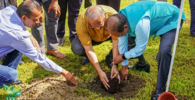 Minister Sewdien en Indiase ambassadeur planten kostbare Sandelhoutboom