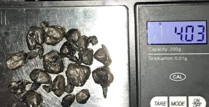 Cocaïnepitjes aangetroffen bij drugsinval