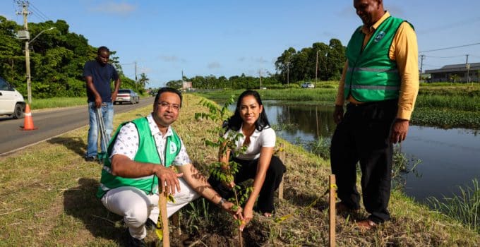 Startsein gegeven voor verfraaiing Ringweg