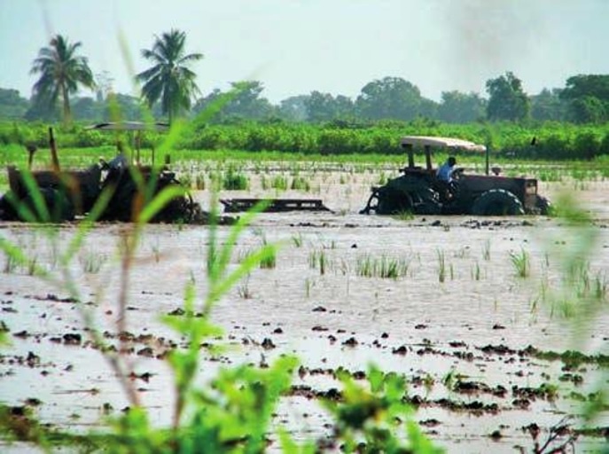 tractor rijstaanplant