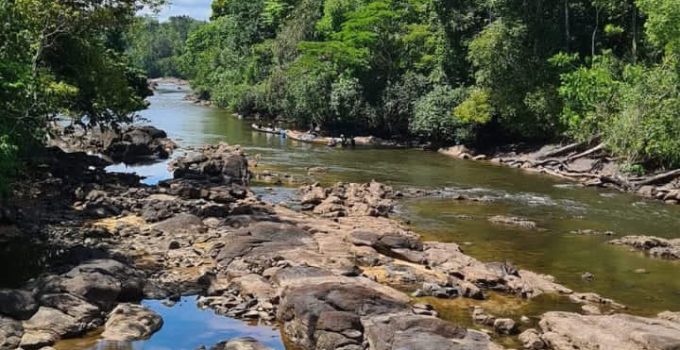 Voedseltekorten dreigen in Boven-Suriname door lage waterstand