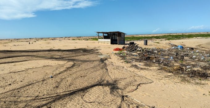 Wilde occupatie Braamspunt bedreigt bestaan zeeschildpadden