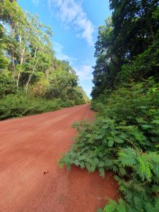 tour binnenland suriname selfdrive2