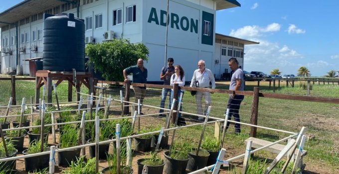 Surinaams Readiness Project met succes afgerond, mijlpaal voor klimaatbestendige landbouw in Nickerie