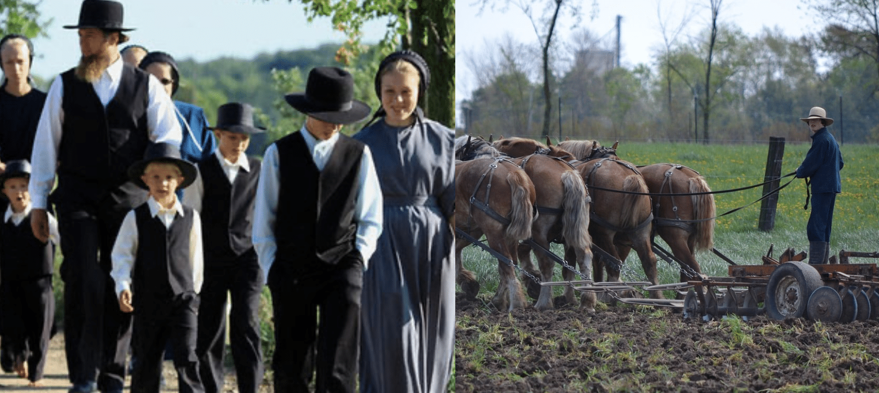 mennonieten suriname