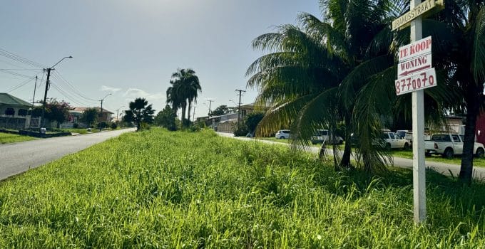 Grootgrondbezitters in Suriname voornamelijk politici en aan hen gerelateerde stichtingen