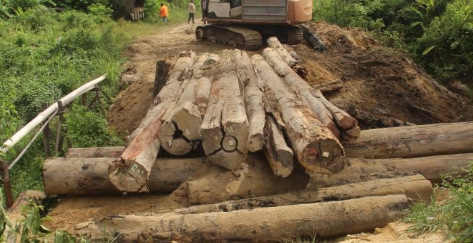 Nieuwe brug naar landbouwgronden Kabalebo nadat vorige door brand werd verwoest