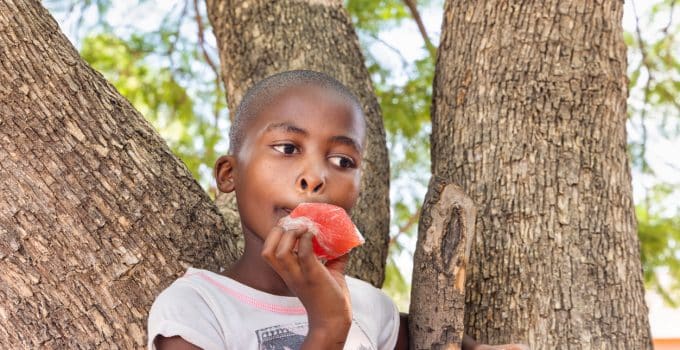 kind meisje jongen eten fruit vrucht