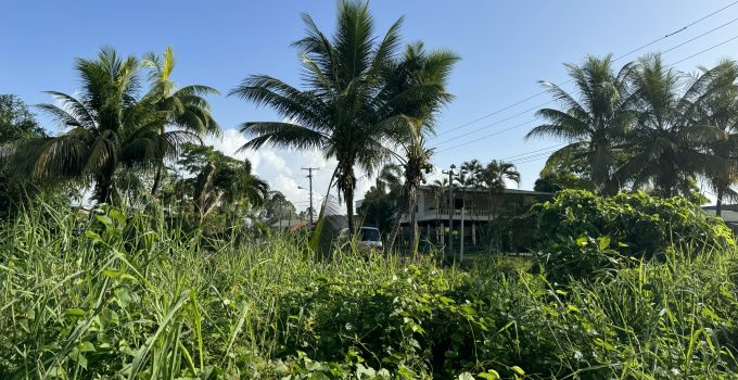 Nederlanders betalen familie in Suriname ‘jarenlang’ voor onuitgevoerde schoonmaak van perceel