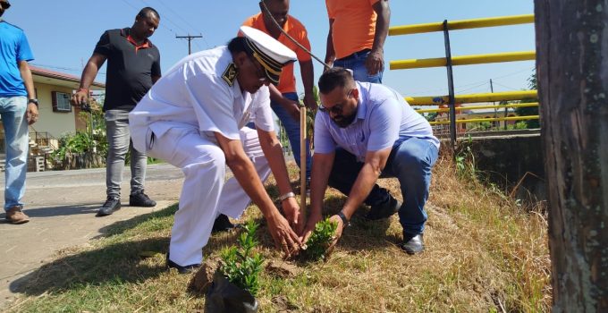 Startsein gegeven voor stads- en pleintjesverfraaiing met Fajalobi-plantjes in Lelydorp