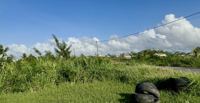 Mensen die Nederland ‘zat’ zijn, kunnen in Suriname voor €100.000 wonen in vrijstaand huis