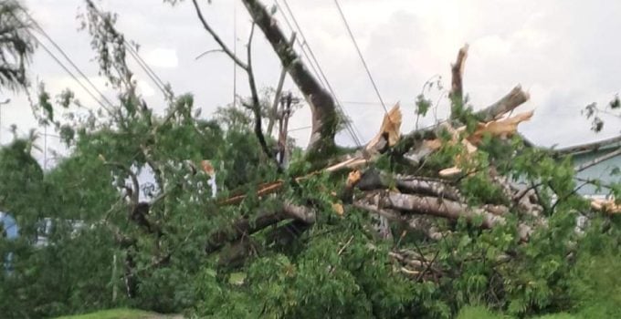 Zware regen en windstoten veroorzaken ravage in Paranam