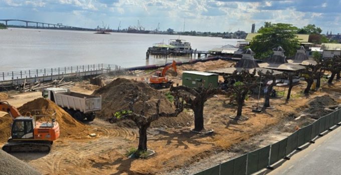 Amandelbomen Waterkant groeien weer na essentiële snoei- werkzaamheden