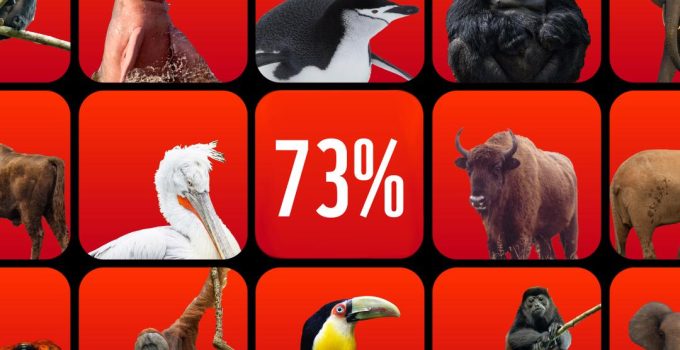 Gemiddelde populatiegrootte wilde dieren wereldwijd daalt in 50 jaar met 73%