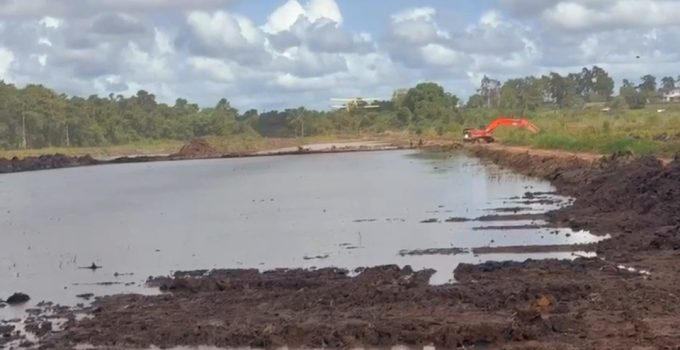 Eerste grootschalige inzaai van rijst in Marowijne officieel van start