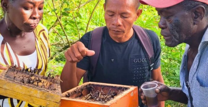 Imkers in Cassipora en Santigron breiden bijenkolonies uit voor ecologische en economische voordelen